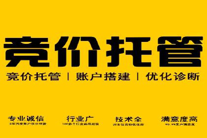 SEM竞价成功案例，经验分享与学习